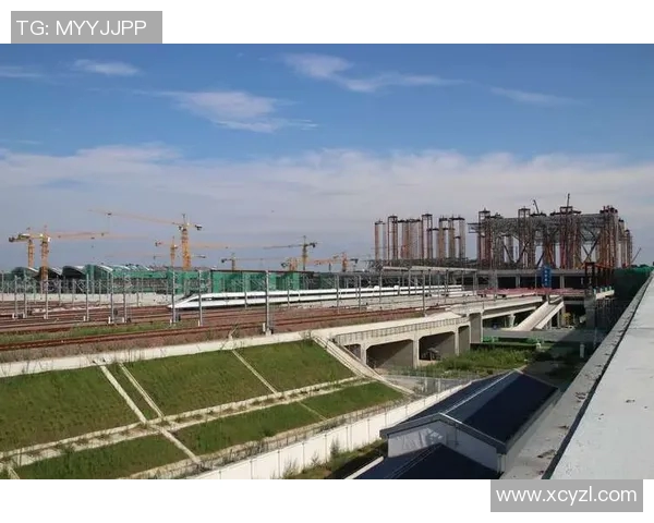 成都篮球队的奋斗之路：从默默无闻到奥运舞台的辉煌历程