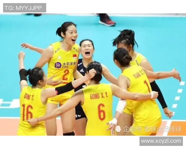 成都排球队灵活性对比分析揭示战术优势与发展潜力