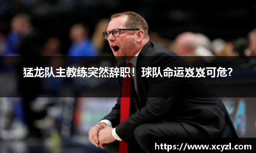 JN体育官网