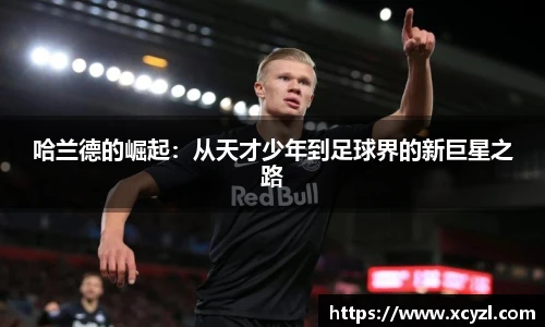 江南JN体育官方网站