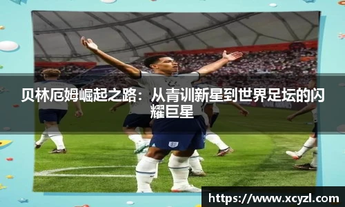 JN体育官网